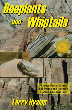 Beeplants and Whiptails; Stories of Nature from Zion National Park